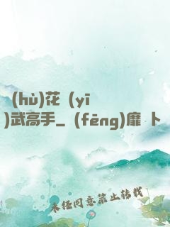 護(hù)花醫(yī)武高手