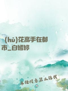 護(hù)花高手在都市