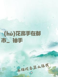 護(hù)花高手在都市