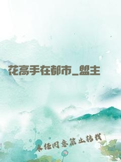 護花高手在都市