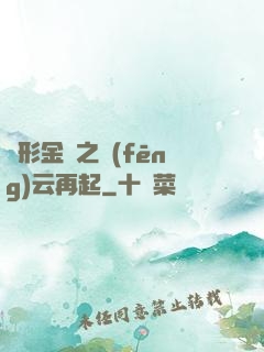 變形金剛之風(fēng)云再起