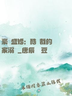 豪門盛婚：酷總裁的獨家溺愛