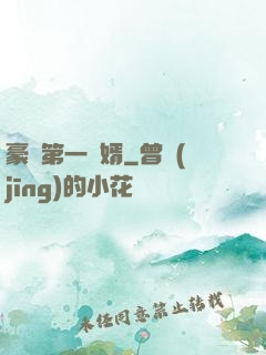 豪門第一賢婿