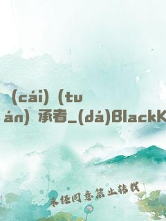 財(cái)團(tuán)繼承者