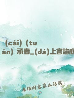 財(cái)團(tuán)繼承者