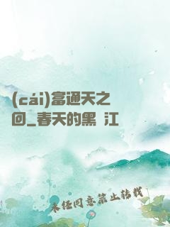 財(cái)富通天之輪回