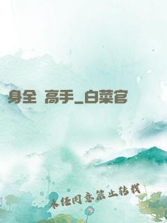 貼身全職高手