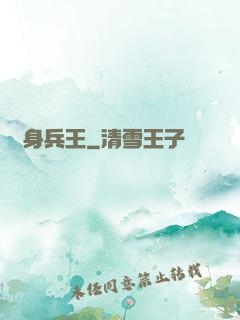 貼身兵王