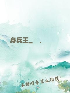 貼身兵王