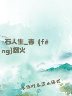 賭石人生