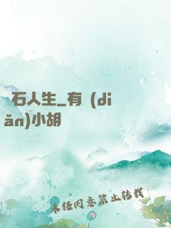 賭石人生