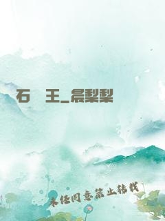 賭石鑒寶王