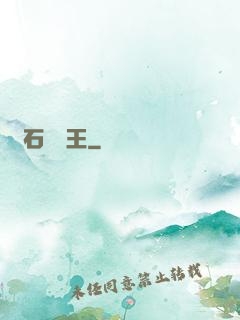 賭石鑒寶王