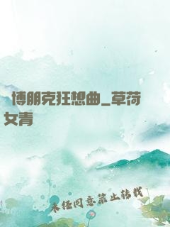 賽博朋克狂想曲