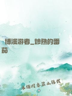 賽博漫游者