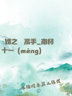 贅婿之無敵高手