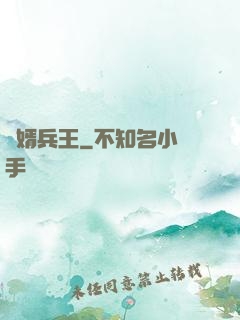 贅婿兵王