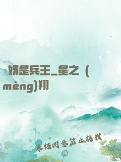 贅婿是兵王