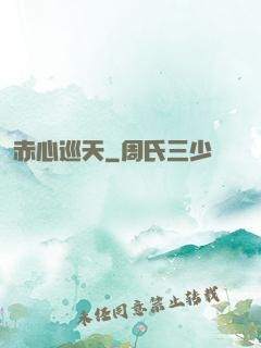 赤心巡天