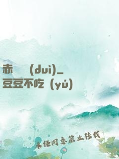 赤鳶艦隊(duì)
