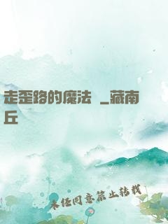 走歪路的魔法師