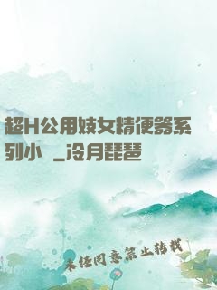 超H公用妓女精便器系列小說