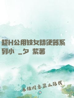 超H公用妓女精便器系列小說