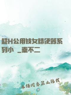 超H公用妓女精便器系列小說