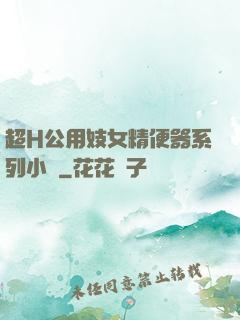 超H公用妓女精便器系列小說