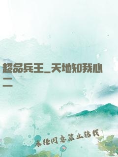 超品兵王