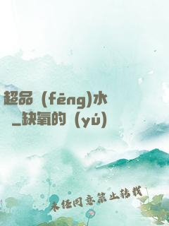 超品風(fēng)水師