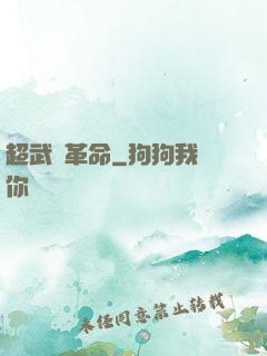 超武裝革命