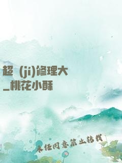 超級(jí)修理大師