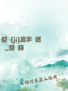 超級(jí)高手艷遇記