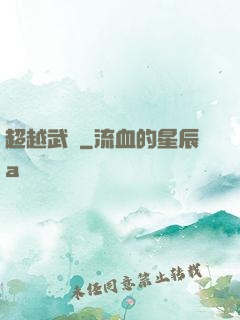 超越武極