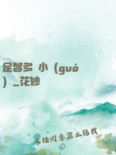 足智多謀小國(guó)師