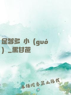 足智多謀小國(guó)師