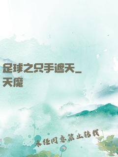 足球之只手遮天