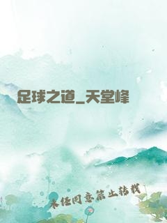 足球之道