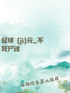 足球紀(jì)元