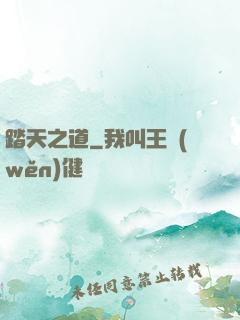 踏天之道