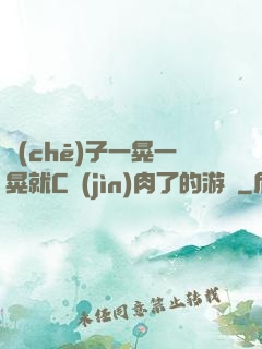 車(chē)子一晃一晃就C進(jìn)肉了的游戲