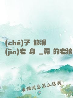 車(chē)子顛簸滑進(jìn)老師身體