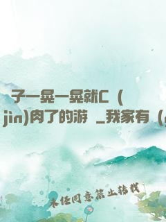 車子一晃一晃就C進(jìn)肉了的游戲