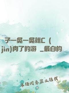 車子一晃一晃就C進(jìn)肉了的游戲