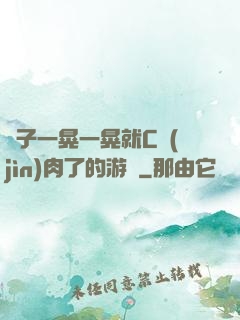 車子一晃一晃就C進(jìn)肉了的游戲