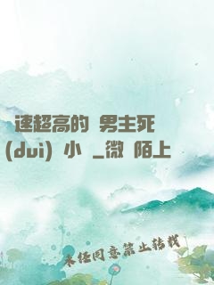 車速超高的雙男主死對(duì)頭小說