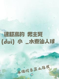 車速超高的雙男主死對(duì)頭小說
