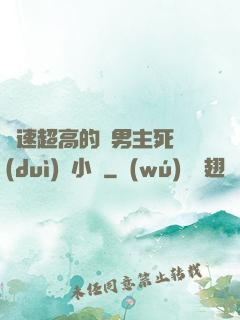 車速超高的雙男主死對(duì)頭小說