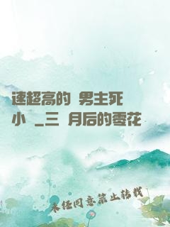 車速超高的雙男主死對頭小說
